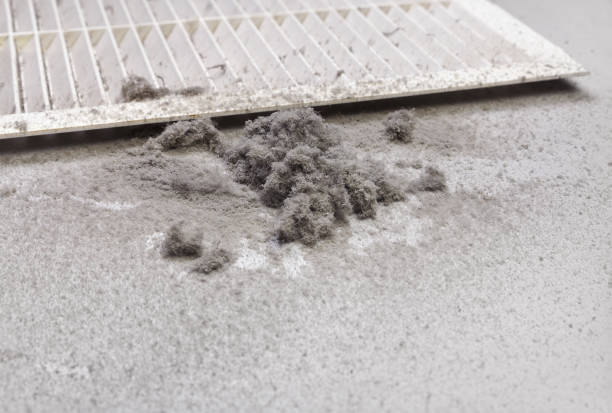 Best Commercial HVAC Duct Cleaning  in Sellersburg, IN